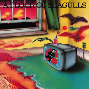 A FLOCK OF SEAGULLS