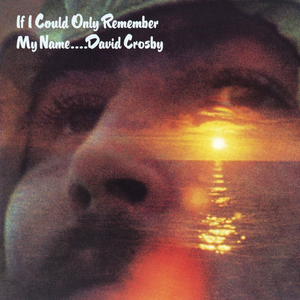 IF I COULD ONLY REMEMBER MY NAME