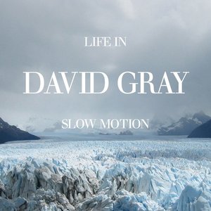 LIFE IN SLOW MOTION