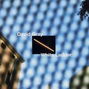 WHITE LADDER