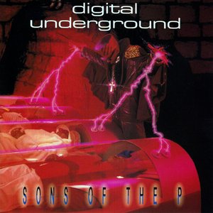 SONS OF THE P