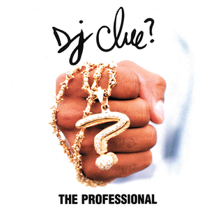 THE PROFESSIONAL