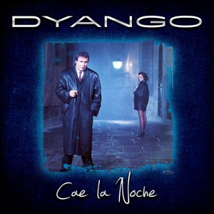 CAE LA NOCHE