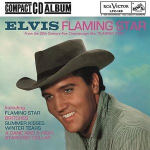FLAMING STAR
