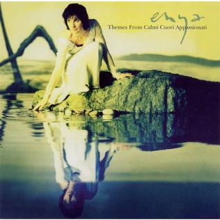 THEMES FROM CALMI CUORI APPASSIONATI OST
