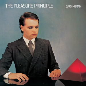 THE PLEASURE PRINCIPLE