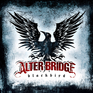 BLACKBIRD