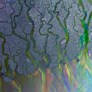 AN AWESOME WAVE