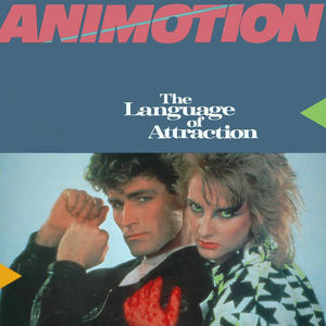 THE LANGUAGE OF ATTRACTION