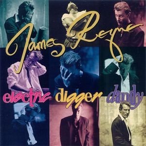ELECTRIC DIGGER DANDY