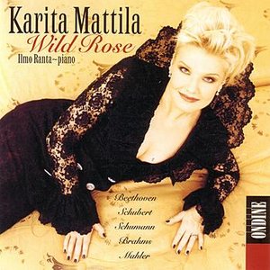 WILD ROSE