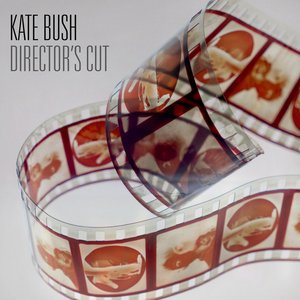 DIRECTOR'S CUT