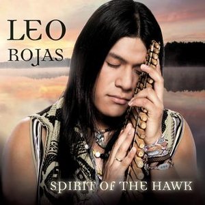SPIRIT OF THE HAWK