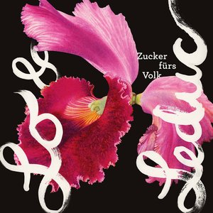 ZUCKER FÜRS VOLK