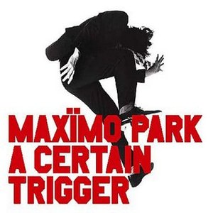 A CERTAIN TRIGGER