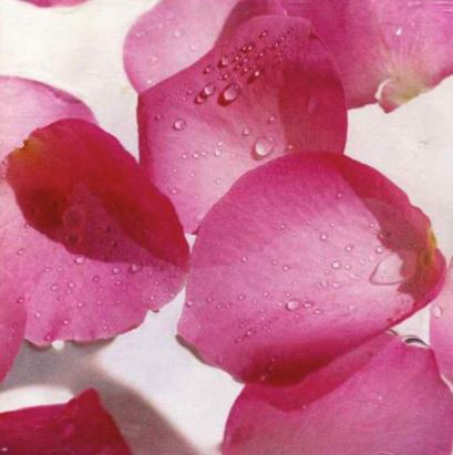 BLOOMING IVORY
