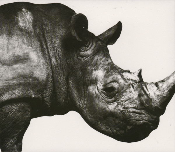 MR.CHILDREN 1992-1995