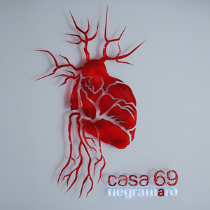 CASA 69
