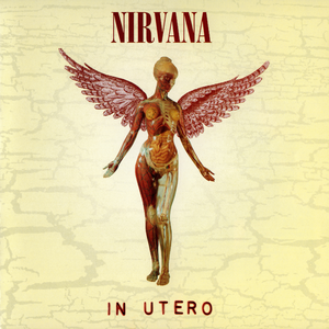 IN UTERO