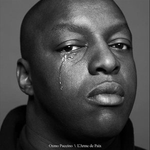 L'ARME DE PAIX