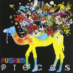 PIECES