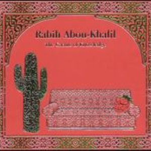 CACTUS OF KNOWLEDGE