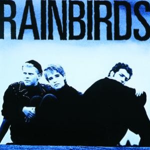 RAINBIRDS