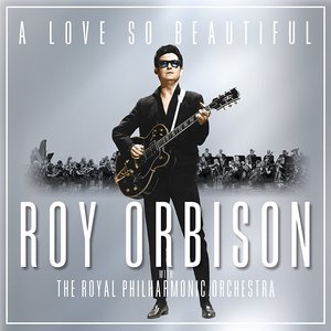 A LOVE SO BEAUTIFUL