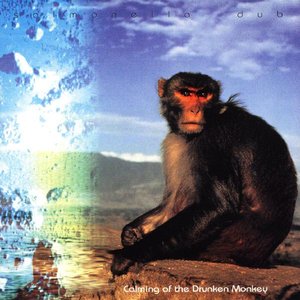 CALMING OF THE DRUNKEN MONKEY