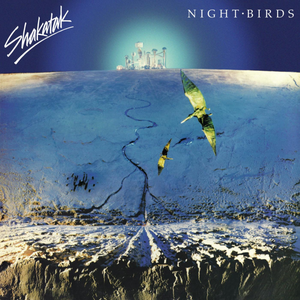 NIGHT BIRDS