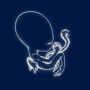 ÁGÆTIS BYRJUN