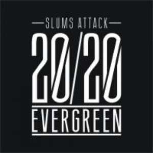 20/20 EVERGREEN