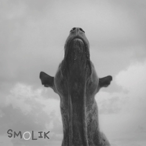 SMOLIK 4