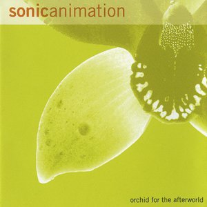 ORCHID FOR THE AFTERWORLD