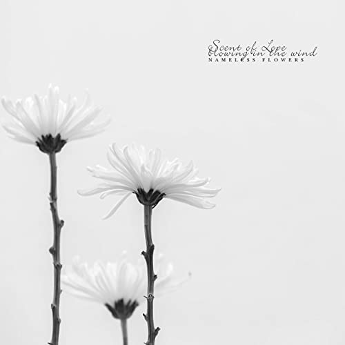 THE SCENT OF A CHRYSANTHEMUM FLOWER