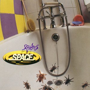 SPIDERS