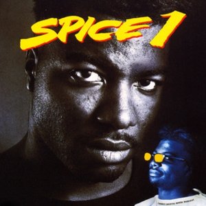 SPICE 1