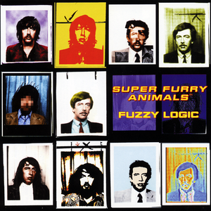 FUZZY LOGIC