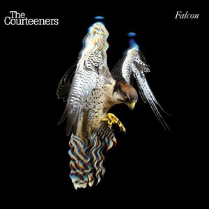FALCON