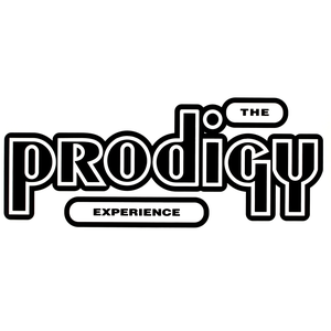 EXPERIENCE