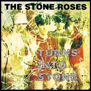 TURNS INTO STONE