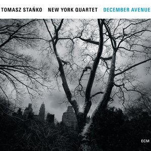 DECEMBER AVENUE