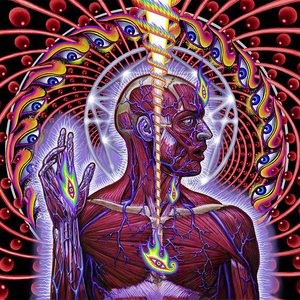 LATERALUS