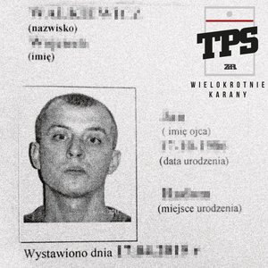 WIELOKROTNIE KARANY