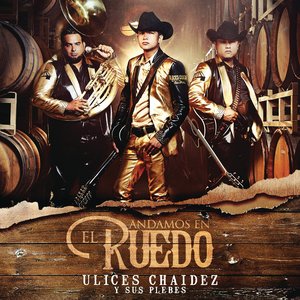 ANDAMOS EN EL RUEDO