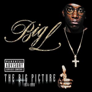 THE BIG PICTURE