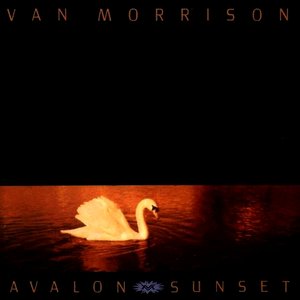 AVALON SUNSET