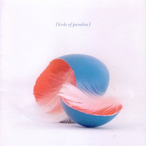 BIRDS OF PARADISE