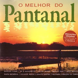 O MELHOR DO PANTANAL