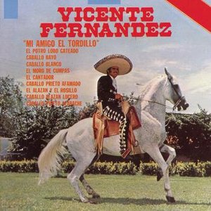 MI AMIGO EL TORDILLO